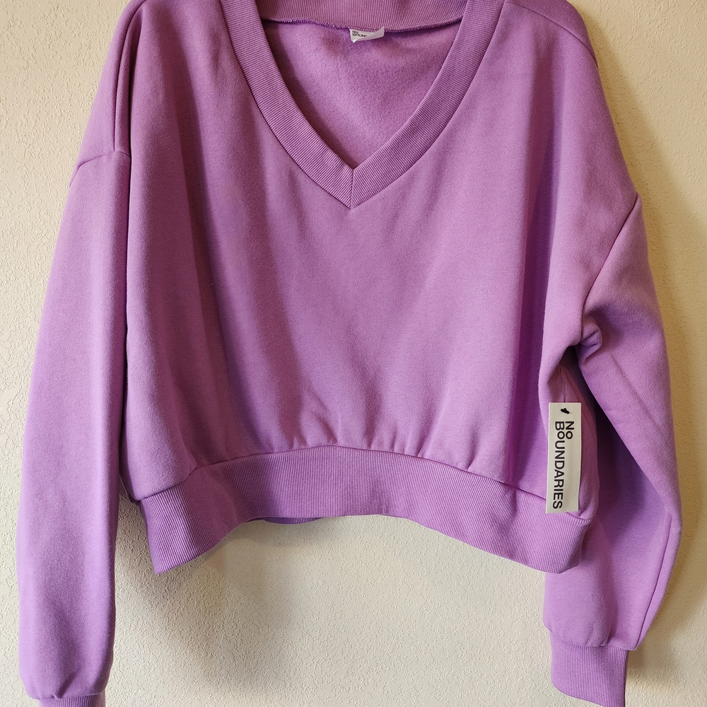 No Boundaries Lavender V-Neck Cropped Top